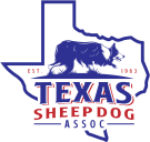 TSDA Logo