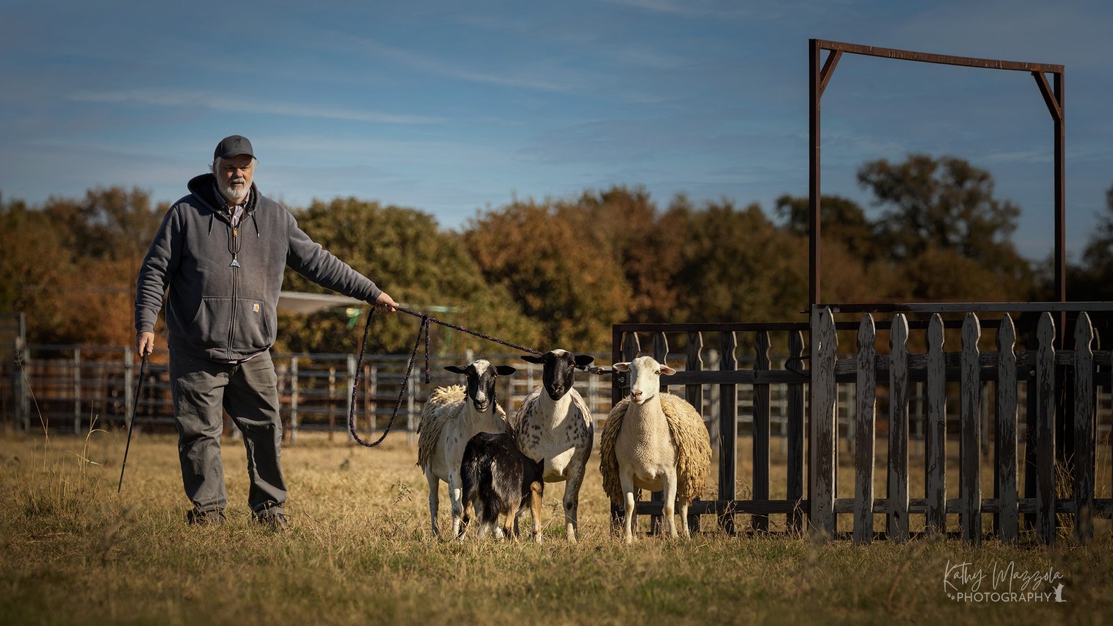  Dog Trial Registration Open – Central Texas