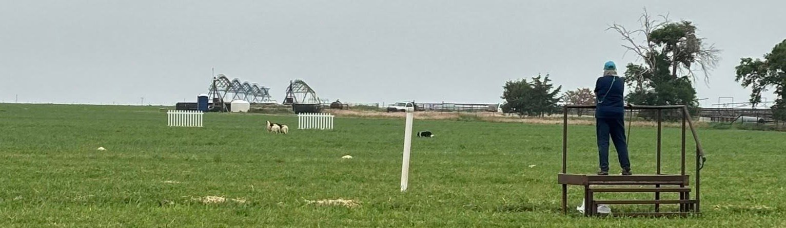 Frio Draw Memorial SDT        class=