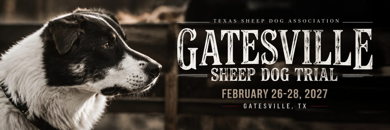 Gatesville SDT