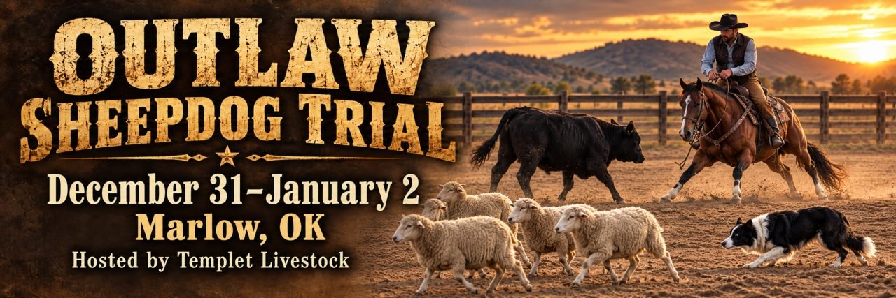 Outlaw SDT