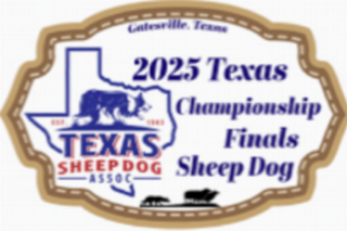 Texas Championship Finals logo — Texas Finals Championship Trial