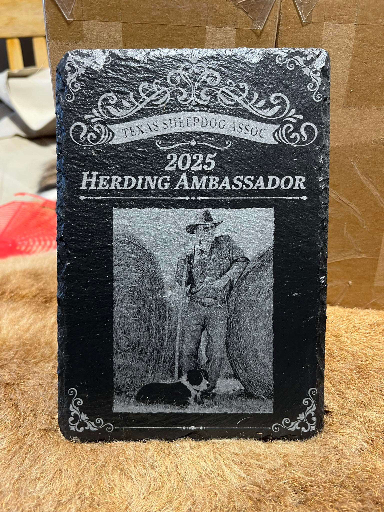 Erby Chandler - "Herding Ambassador"
