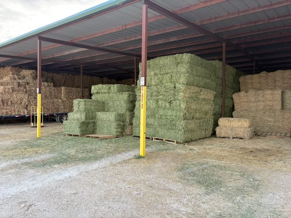 2T Farms - Comanche, TX